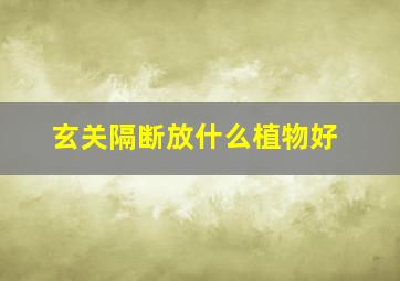 玄关隔断放什么植物好