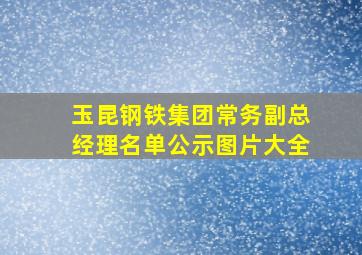 玉昆钢铁集团常务副总经理名单公示图片大全