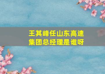 王其峰任山东高速集团总经理是谁呀