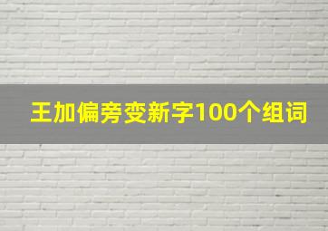 王加偏旁变新字100个组词