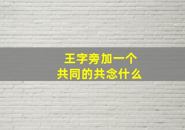 王字旁加一个共同的共念什么