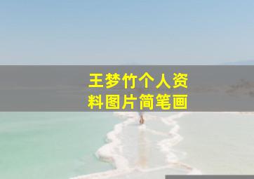 王梦竹个人资料图片简笔画