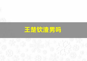 王楚钦渣男吗