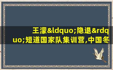 王濛“隐退”短道国家队集训营,中国冬奥王牌项目生变