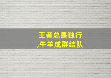 王者总是独行,牛羊成群结队