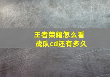 王者荣耀怎么看战队cd还有多久