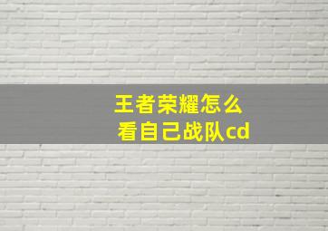 王者荣耀怎么看自己战队cd