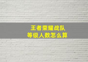 王者荣耀战队等级人数怎么算