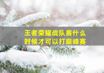 王者荣耀战队赛什么时候才可以打巅峰赛