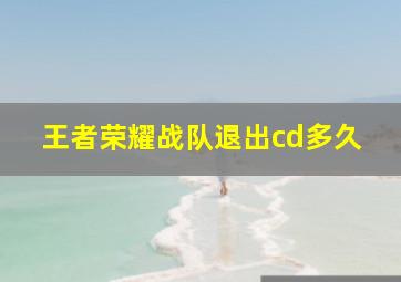 王者荣耀战队退出cd多久