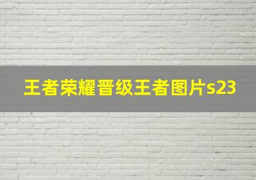 王者荣耀晋级王者图片s23