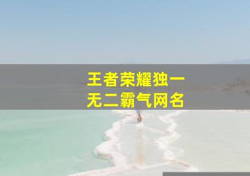 王者荣耀独一无二霸气网名