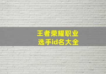 王者荣耀职业选手id名大全