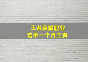 王者荣耀职业选手一个月工资