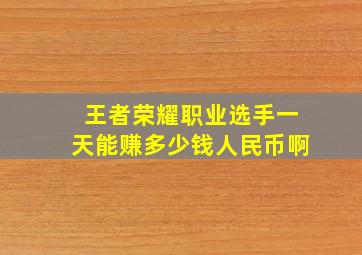 王者荣耀职业选手一天能赚多少钱人民币啊