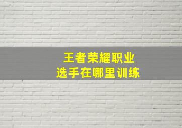 王者荣耀职业选手在哪里训练