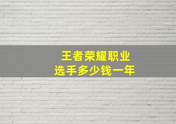 王者荣耀职业选手多少钱一年