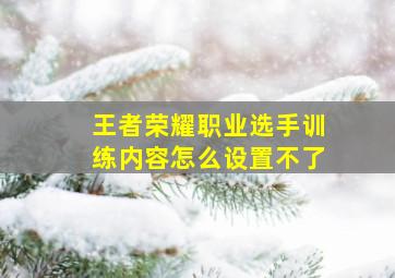 王者荣耀职业选手训练内容怎么设置不了