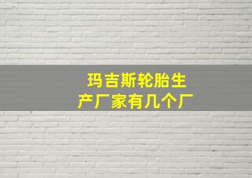 玛吉斯轮胎生产厂家有几个厂