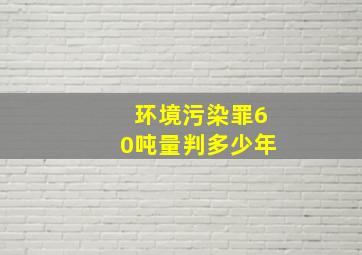 环境污染罪60吨量判多少年