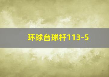 环球台球杆113-5