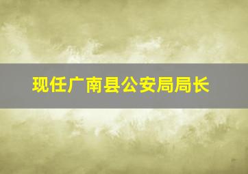 现任广南县公安局局长