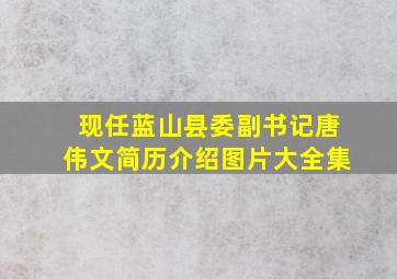 现任蓝山县委副书记唐伟文简历介绍图片大全集