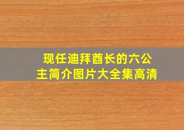 现任迪拜酋长的六公主简介图片大全集高清