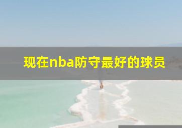 现在nba防守最好的球员