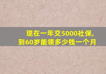 现在一年交5000社保,到60岁能领多少钱一个月