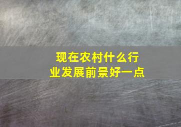 现在农村什么行业发展前景好一点