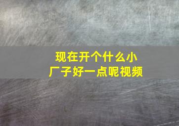 现在开个什么小厂子好一点呢视频