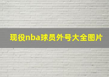 现役nba球员外号大全图片