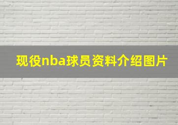 现役nba球员资料介绍图片