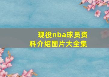 现役nba球员资料介绍图片大全集