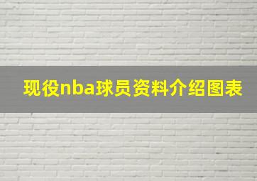 现役nba球员资料介绍图表