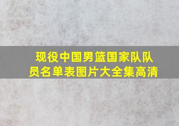 现役中国男篮国家队队员名单表图片大全集高清