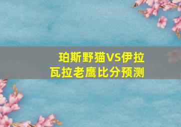 珀斯野猫VS伊拉瓦拉老鹰比分预测