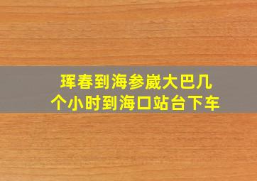 珲春到海参崴大巴几个小时到海口站台下车