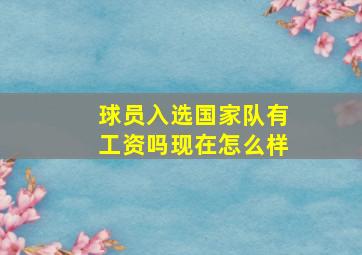 球员入选国家队有工资吗现在怎么样