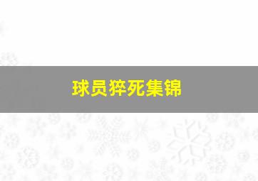 球员猝死集锦