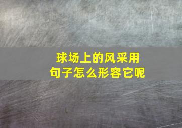 球场上的风采用句子怎么形容它呢