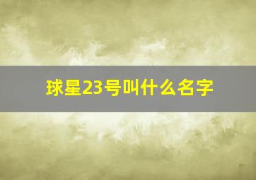 球星23号叫什么名字