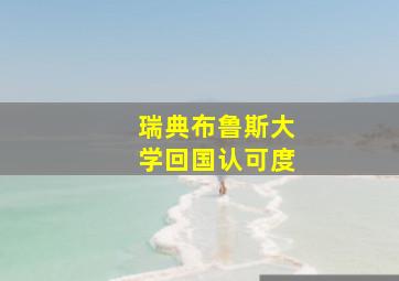 瑞典布鲁斯大学回国认可度