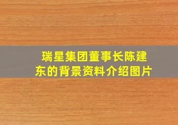 瑞星集团董事长陈建东的背景资料介绍图片