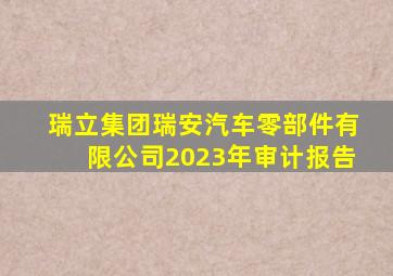 瑞立集团瑞安汽车零部件有限公司2023年审计报告