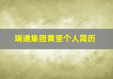 瑞通集团黄坚个人简历