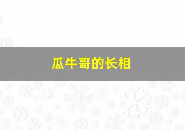 瓜牛哥的长相