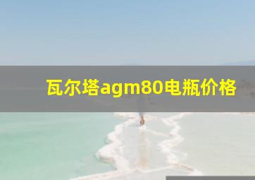 瓦尔塔agm80电瓶价格