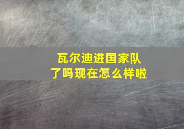 瓦尔迪进国家队了吗现在怎么样啦